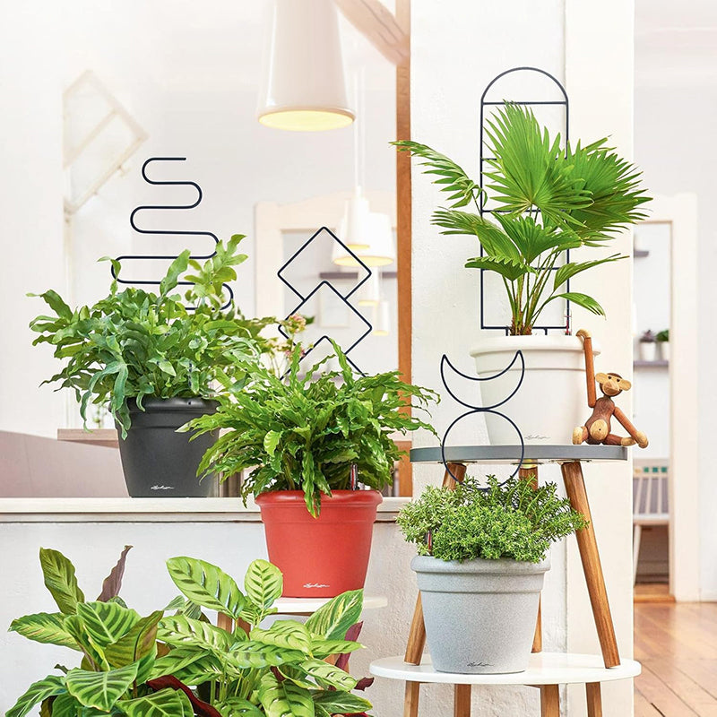 GREENYHAVEN Indoor Plant Trellis 4 Pack - Black