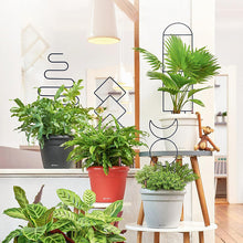 Load image into Gallery viewer, GREENYHAVEN Indoor Plant Trellis 4 Pack - Black