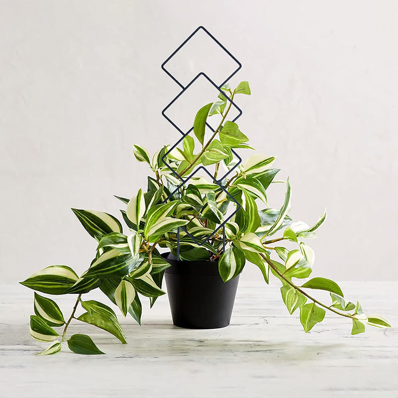 GREENYHAVEN Indoor Plant Trellis 4 Pack - Black