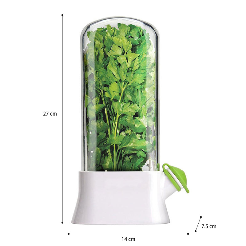 OZZYCOOK 2 Pack Clear Container for Fresh Herbs