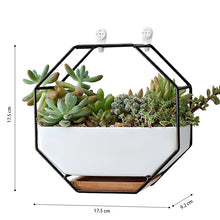 Load image into Gallery viewer, GREENYHAVEN Geometric Ceramic Wall Planter Vase - Black