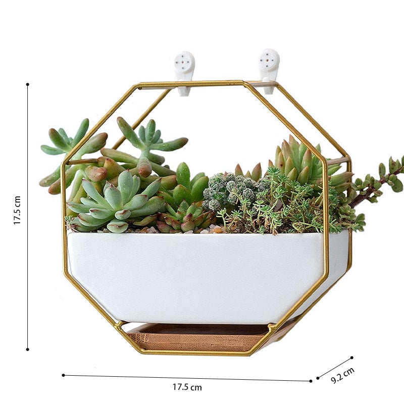 GREENYHAVEN Geometric Ceramic Wall Planter Vase - Gold