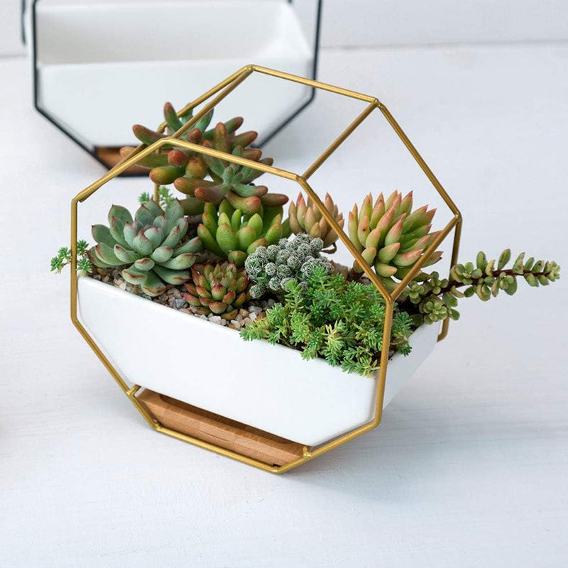 GREENYHAVEN Geometric Ceramic Wall Planter Vase - Gold