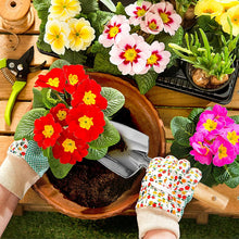 Load image into Gallery viewer, GREENHAVEN 5PC Stainless Steel Gardening Kit