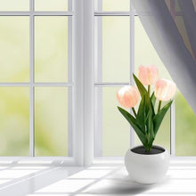 Load image into Gallery viewer, LUMIRO Tulip Night Light - Pink