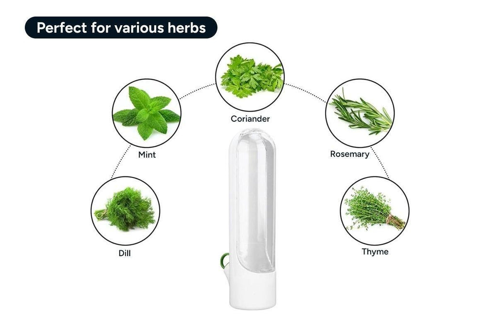 Herb Fridge Storage Pods (4 Pack) - Kogan