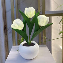 Load image into Gallery viewer, LUMIRO Tulip Night Light - White