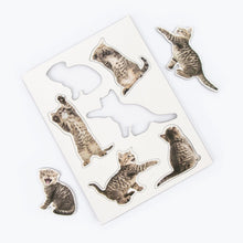 Load image into Gallery viewer, Mustard: Action Cat - Fridge Magnets