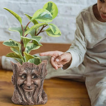 Load image into Gallery viewer, GREENYHAVEN Face Planter Pot
