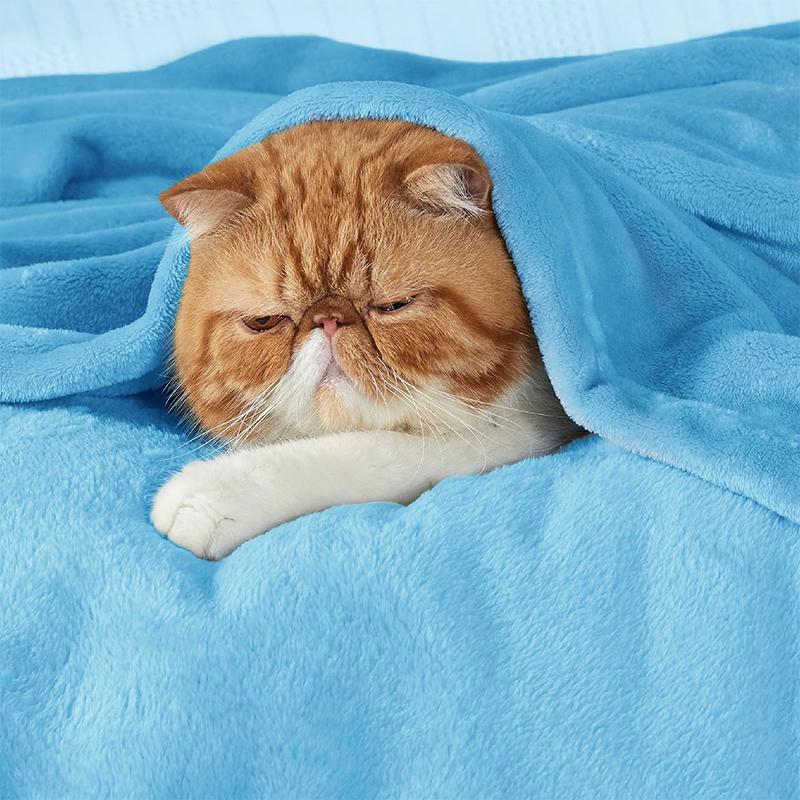 COMFEYA 150x200cm Ultra-Soft Fleece Blanket - Blue