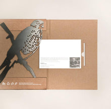 Load image into Gallery viewer, Metalbird: Karearea / New Zealand Falcon Garden Art