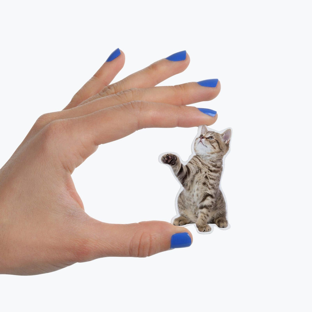 Mustard: Action Cat - Fridge Magnets