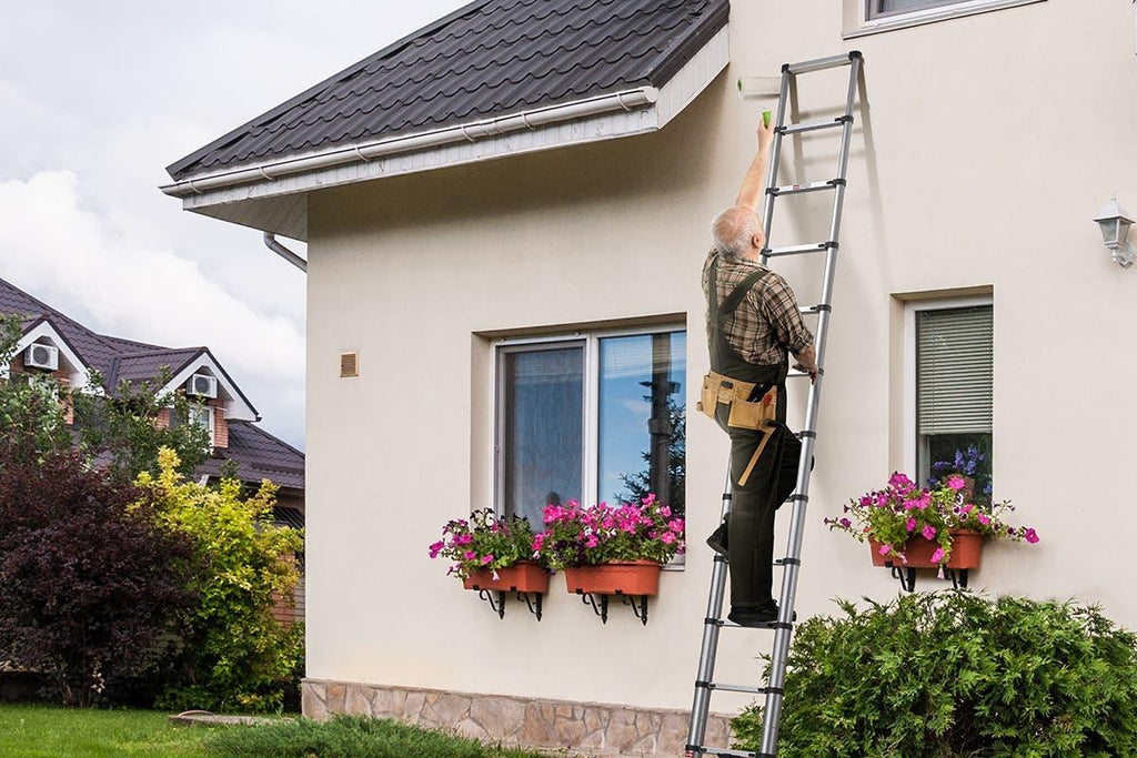 Certa 3.9m Telescopic Ladder