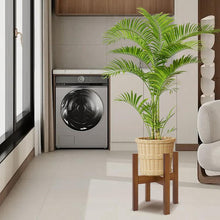 Load image into Gallery viewer, GREENYHAVEN 2-Pack Plant Stands - Brown