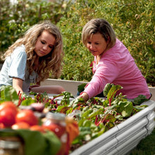 Load image into Gallery viewer, GREENHAVEN Raised Garden Galvanized Planter Boxes - XLarge
