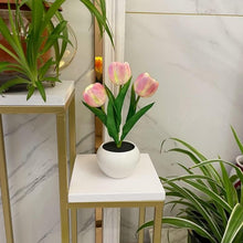 Load image into Gallery viewer, LUMIRO Tulip Night Light - Pink