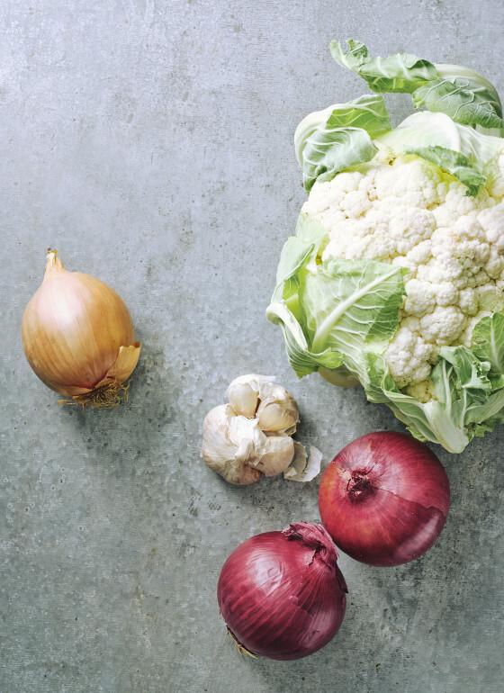 Dish: Fast Two by Sarah Tuck