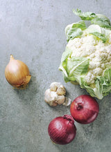 Load image into Gallery viewer, Dish: Fast Two by Sarah Tuck