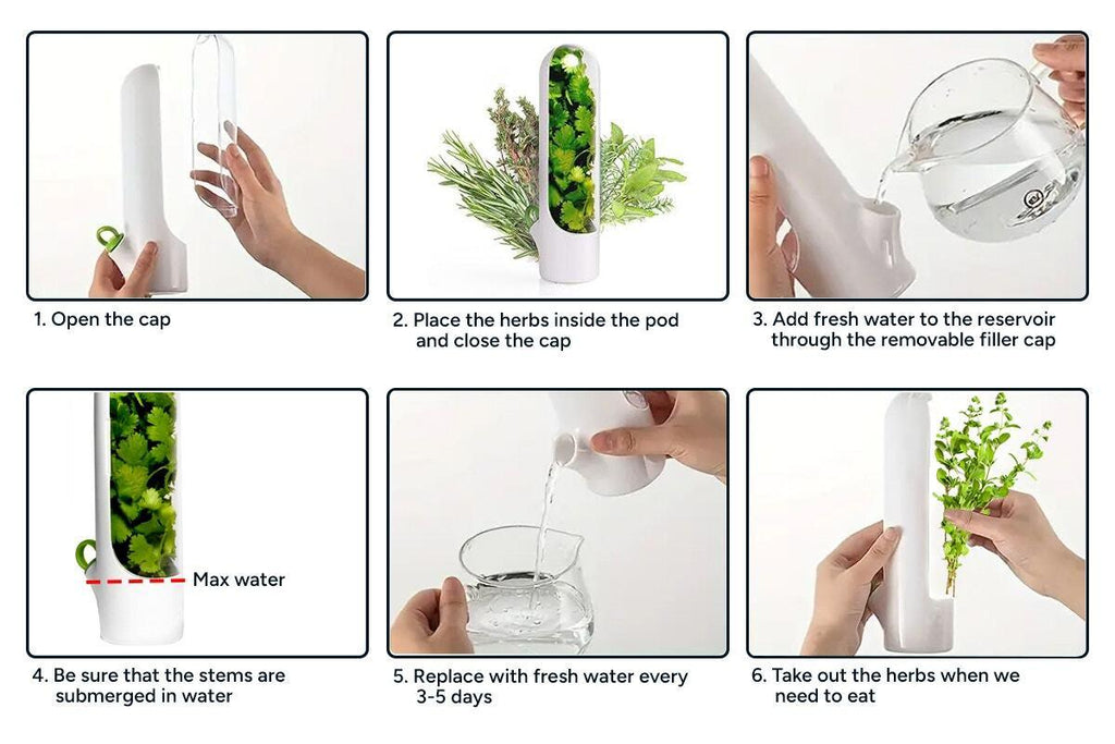 Herb Fridge Storage Pods (4 Pack) - Kogan