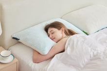 Load image into Gallery viewer, Fraser Country Set of 2 Shredded Memory Foam Pillow