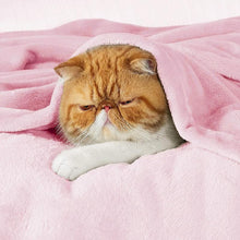 Load image into Gallery viewer, COMFEYA 150x200cm Ultra-Soft Fleece Blanket - Pink