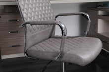 Load image into Gallery viewer, Gorilla Office - Eames By Arthur Replica Standard Office Chair Low Back Grey