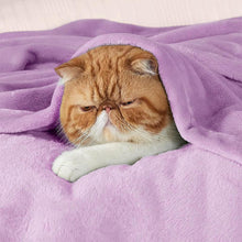 Load image into Gallery viewer, COMFEYA 150x200cm Ultra-Soft Fleece Blanket - Purple