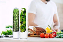 Load image into Gallery viewer, Herb Fridge Storage Pods (4 Pack) - Kogan