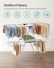 Load image into Gallery viewer, SONGMICS Free-Standing Foldable 2-Level Laundry Drying Rack