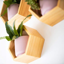 Load image into Gallery viewer, STORFEX Wooden Wall Mounted Hexagonal Floating Shelves