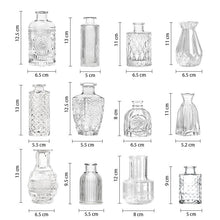 Load image into Gallery viewer, Glass Bud Vase Set (Set of 12)
