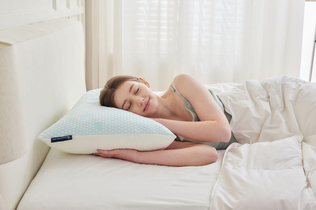 Fraser Country Set of 2 Shredded Memory Foam Pillow