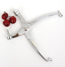 Load image into Gallery viewer, Alloy Cherry &amp; Olive Pitter - D.Line