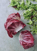 Load image into Gallery viewer, Dish: Fast Two by Sarah Tuck