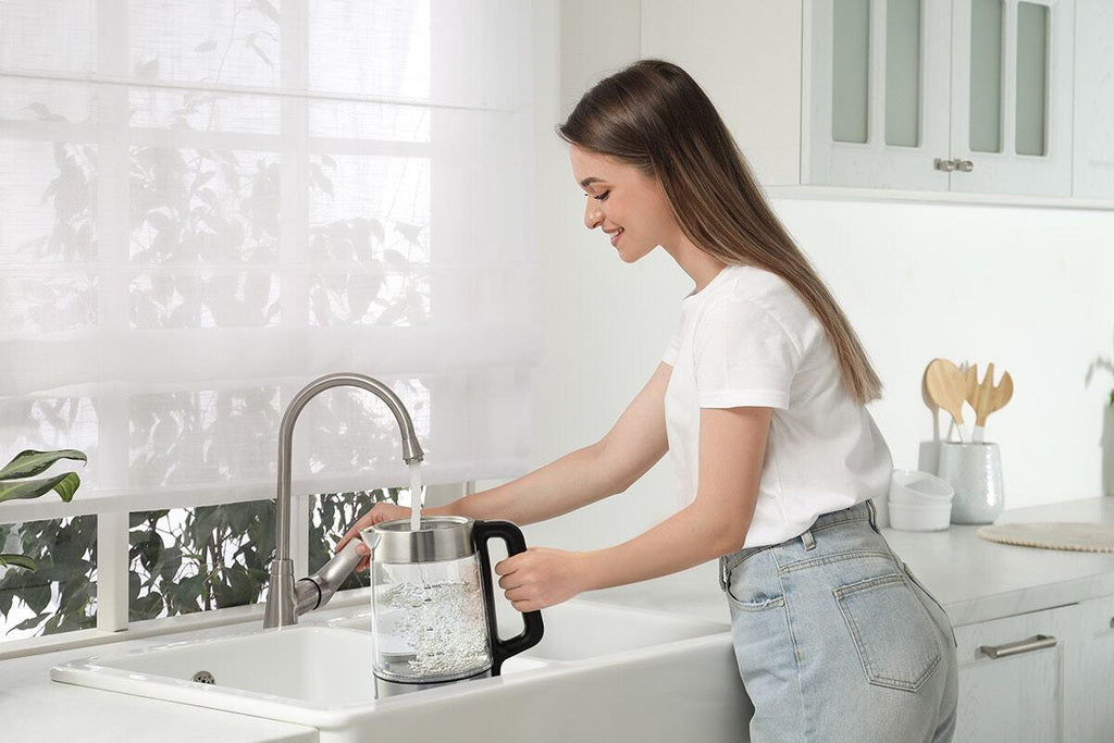 Kogan SmarterHome(TM) 1.7L Double Wall Glass Smart Kettle (Stainless Steel)