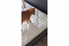 Load image into Gallery viewer, Ergolux Comfort Essential Pocket Spring Mattress (Single)