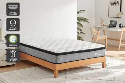 Ergolux Comfort Plus Pocket Spring Mattress (Queen)