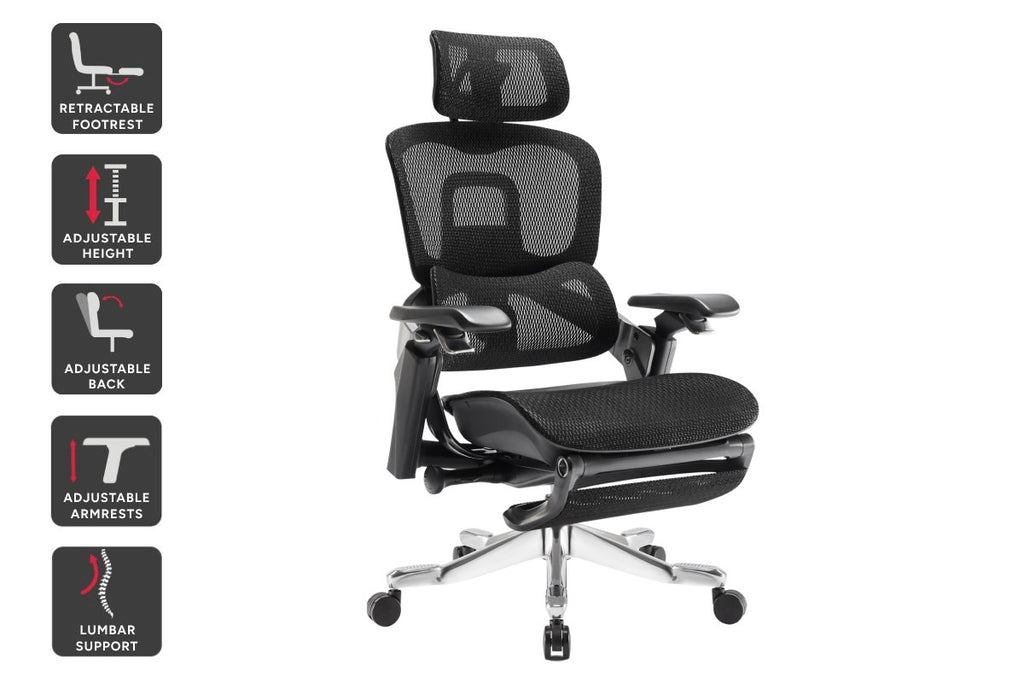 Ergolux Elite Ergonomic Mesh Office Chair with Footrest (Black)