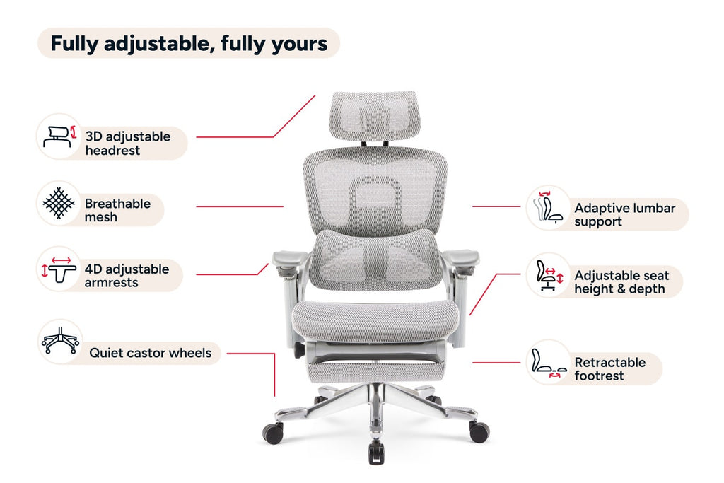 Ergolux Elite Ergonomic Mesh Office Chair with Footrest (Grey)