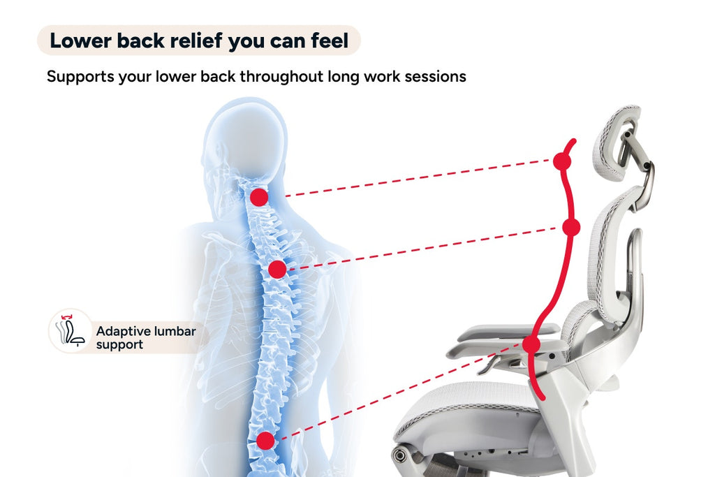 Ergolux Elite Ergonomic Mesh Office Chair with Footrest (Grey)