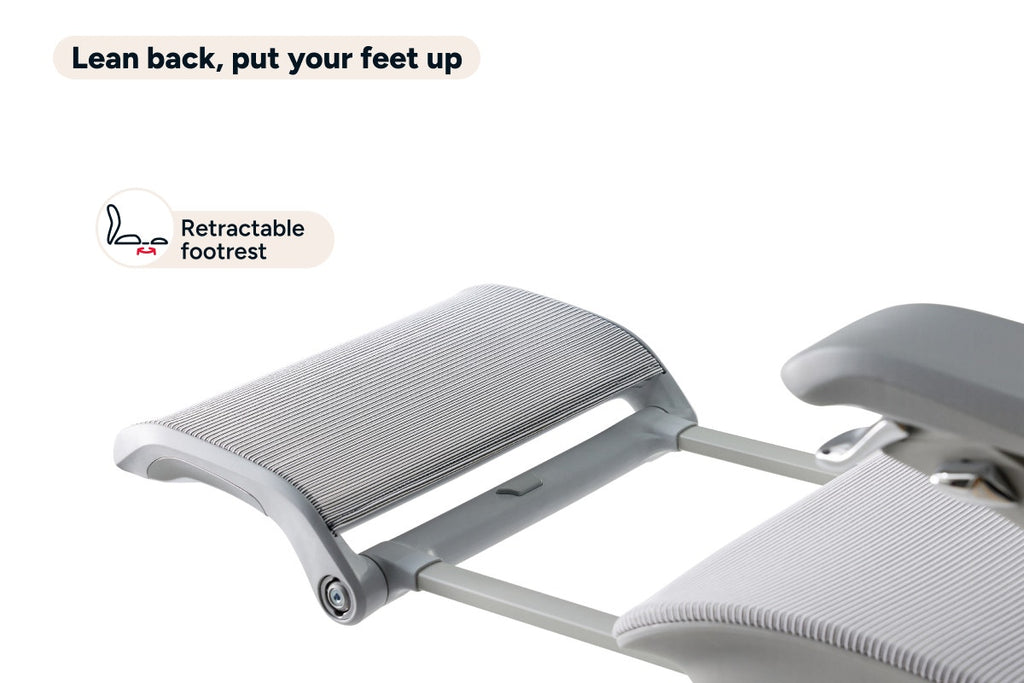 Ergolux Elite Ergonomic Mesh Office Chair with Footrest (Grey)