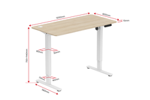 Load image into Gallery viewer, Ergolux Electric Standing Desk 120 x 60cm (Oak/White)
