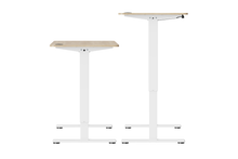 Load image into Gallery viewer, Ergolux Electric Standing Desk 120 x 60cm (Oak/White)