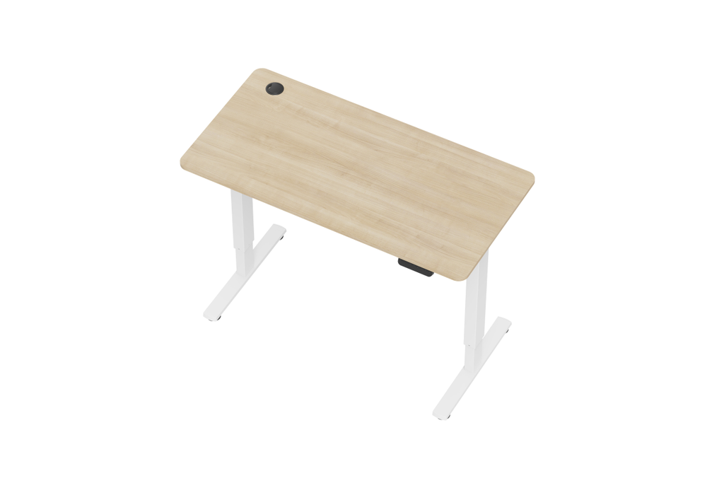 Ergolux Electric Standing Desk 120 x 60cm (Oak/White)
