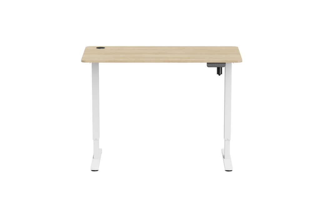 Ergolux Electric Standing Desk 120 x 60cm (Oak/White)