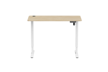 Load image into Gallery viewer, Ergolux Electric Standing Desk 120 x 60cm (Oak/White)