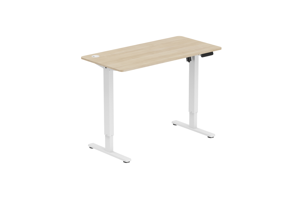 Ergolux Electric Standing Desk 120 x 60cm (Oak/White)