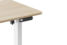 Load image into Gallery viewer, Ergolux Electric Standing Desk 120 x 60cm (Oak/White)