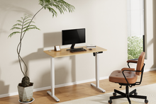 Load image into Gallery viewer, Ergolux Electric Standing Desk 120 x 60cm (Oak/White)
