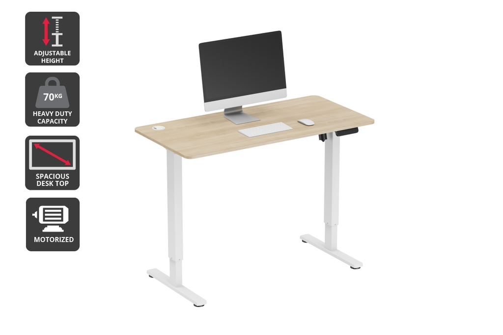 Ergolux Electric Standing Desk 120 x 60cm (Oak/White)